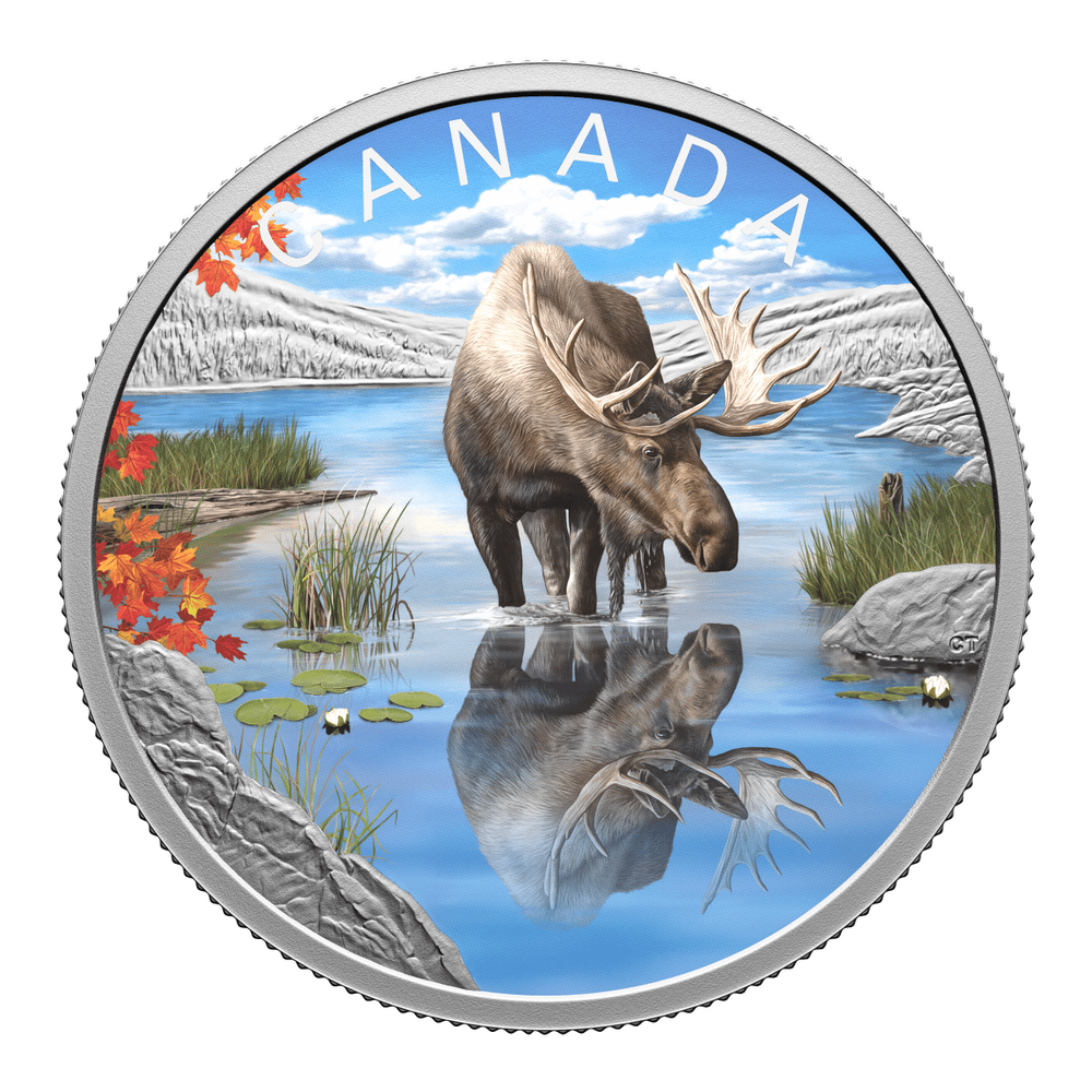 2024 Canada Wildlife Reflections Moose 1 oz Silver Colorized Proof Coin