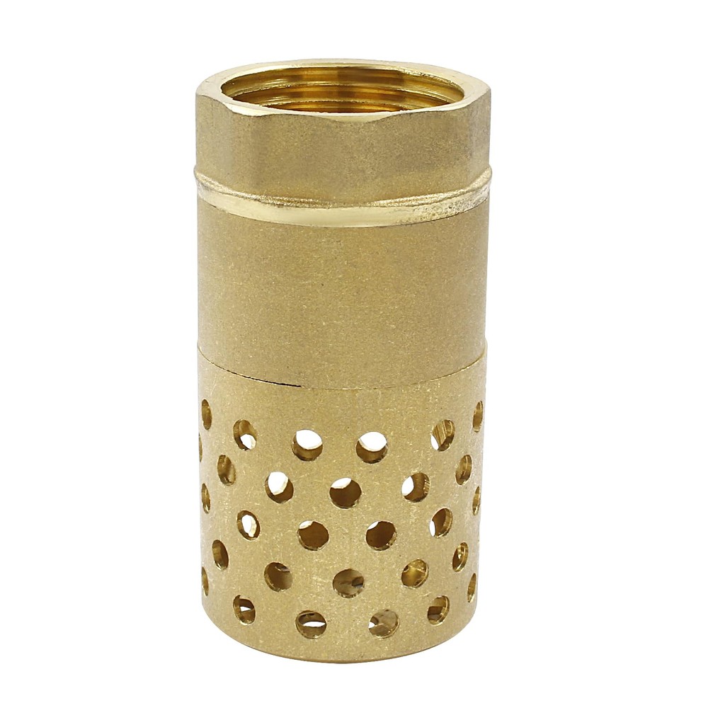 Heavy Duty Brass Foot Valve, DN25 Female Thread Backflow Preventer Check Valv...