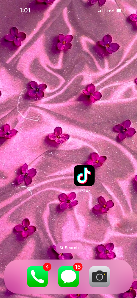 iPhone 14 Pro with TikTok Pre-Installed - Ready for Seamless Social Media Experience