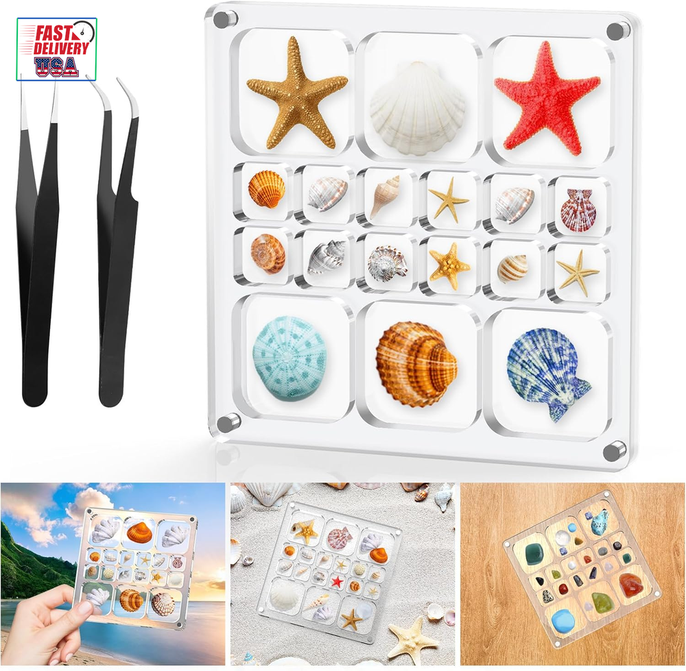 Acrylic Magnetic Seashell Display Box,Clear Sea Shell Display Box,Beach Magnet S