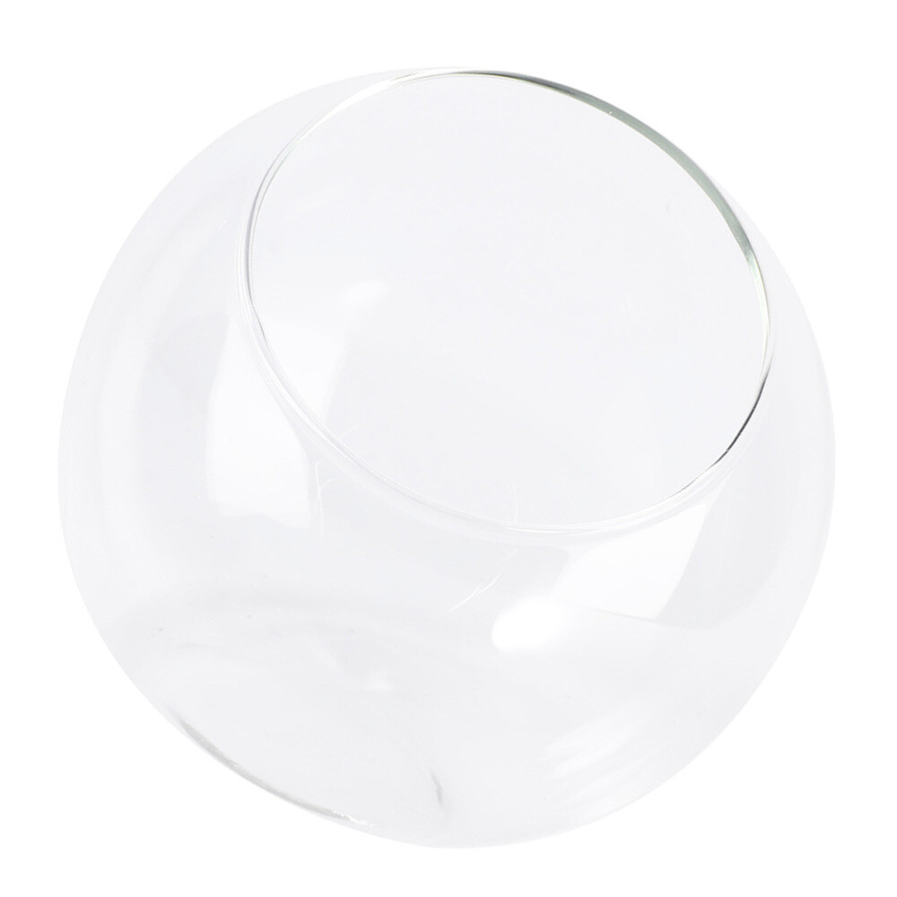 Mini Glass Terrarium Vase for Plants - Tabletop Decor