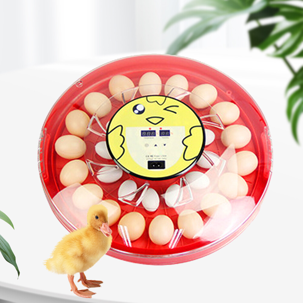 30 Eggs Incubator Digital Automatic Turner Hatcher Chicken Temperature Control