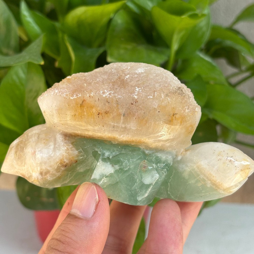 510g Natural Fluorite Crystal original stone hand carved Tortoise