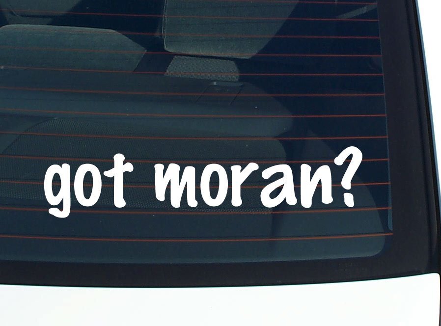 got moran? CAR DECAL BUMPER STICKER VINYL FUNNY LAST NAME WINDOW PRIDE