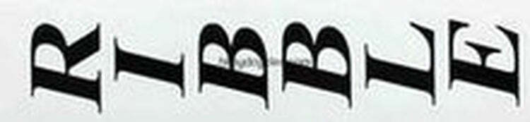 RIBBLE bike fork decal sticker for cycling customization