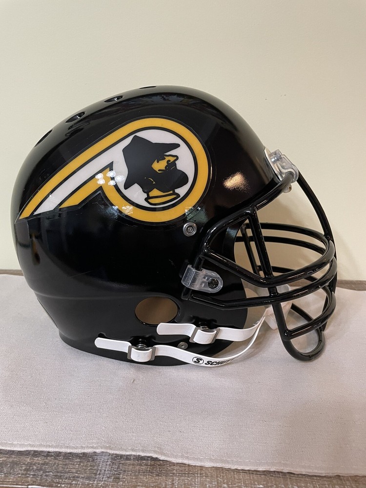 Custom Appalachian State Football Helmet 1983-1988 Dino Hackett style App State