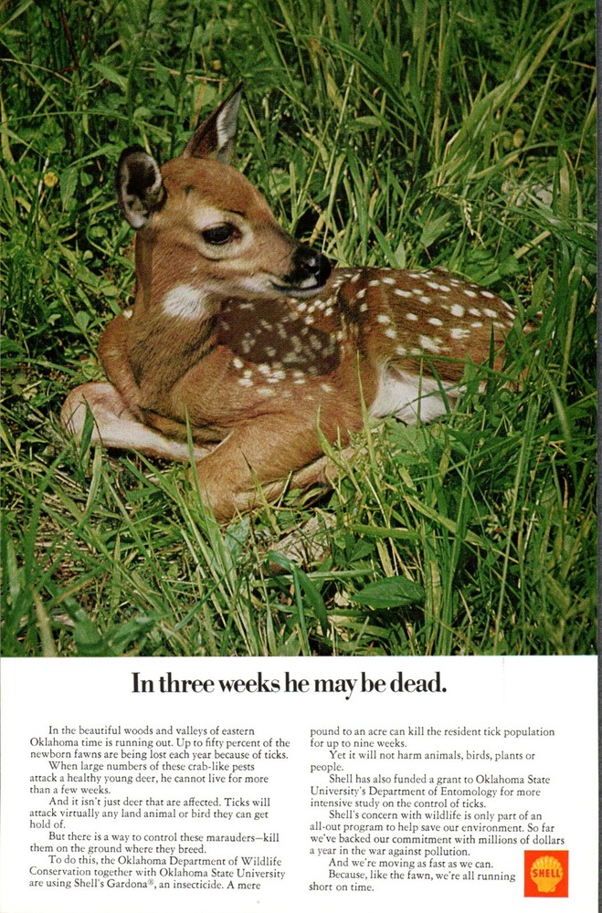 Print Ad VTG 1970 Shell Gardona Insecticide