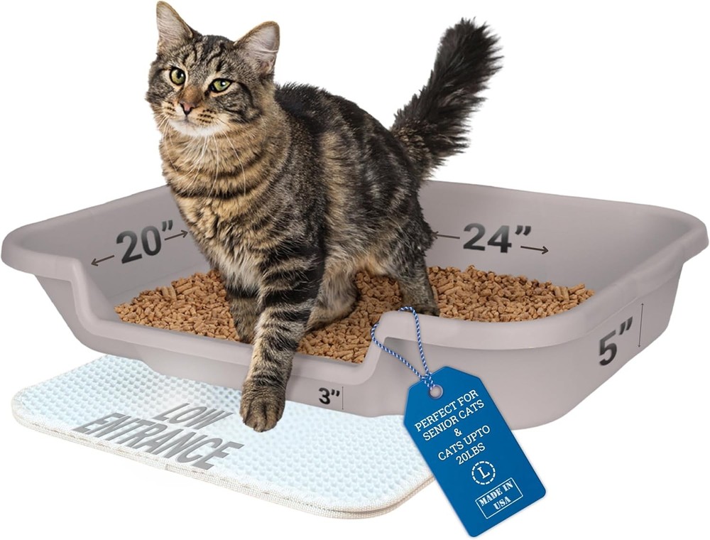 KittyGoHere Senior Cat Litter Box 1 Pack, Large Misty Gray Low Large,