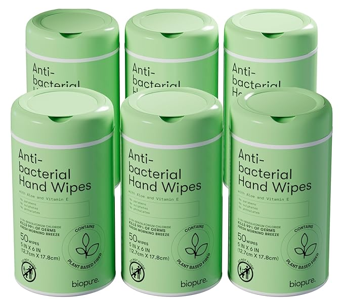 Biopure Anti-Bacterial Hand With Aloe And Vitamin E Formula Perfect Size 6 Packs