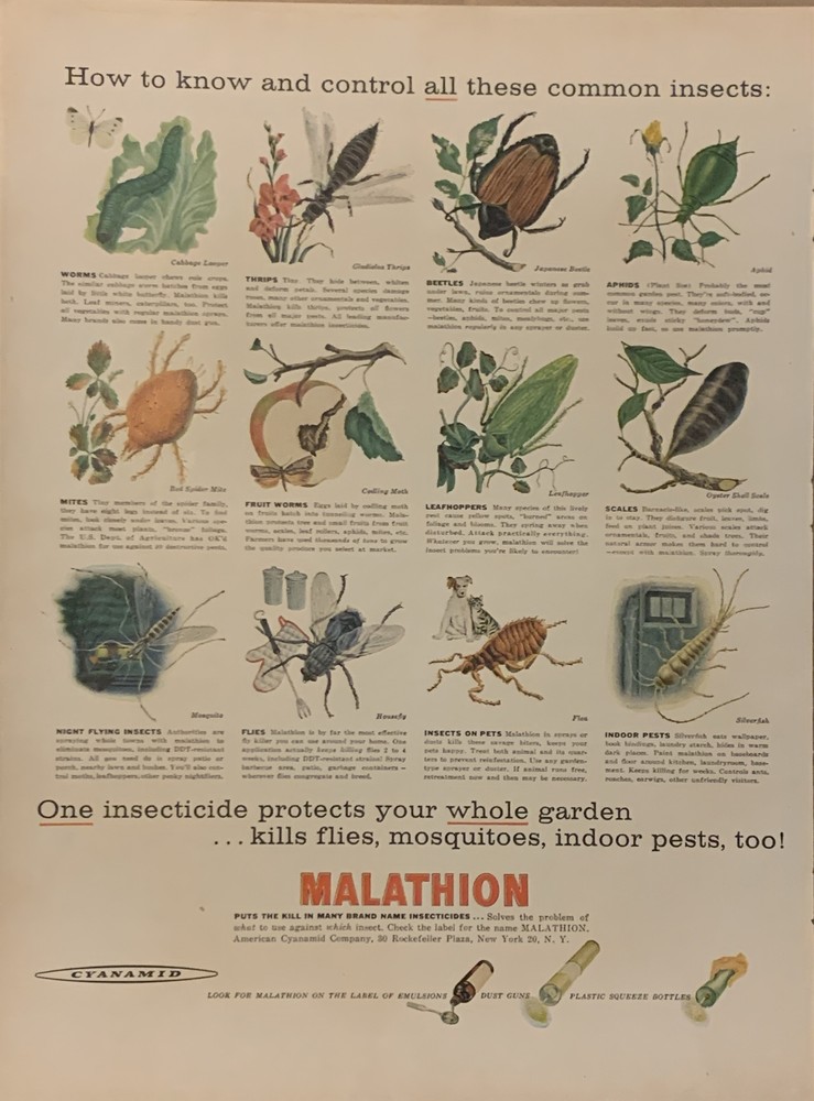 1957 Cyanamid Malathion Insecticide PRINT AD Garden Pests Common Insects VTG 50s