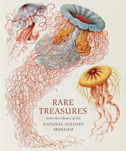 Judith Magee Rare Treasures (Hardback) (UK IMPORT)