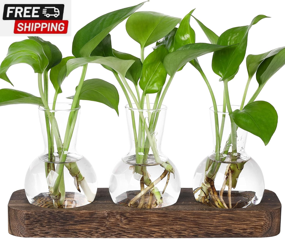 Propagation Stations,Plant Propagation Vase,Desk Plant Terrarium with Retro Wood