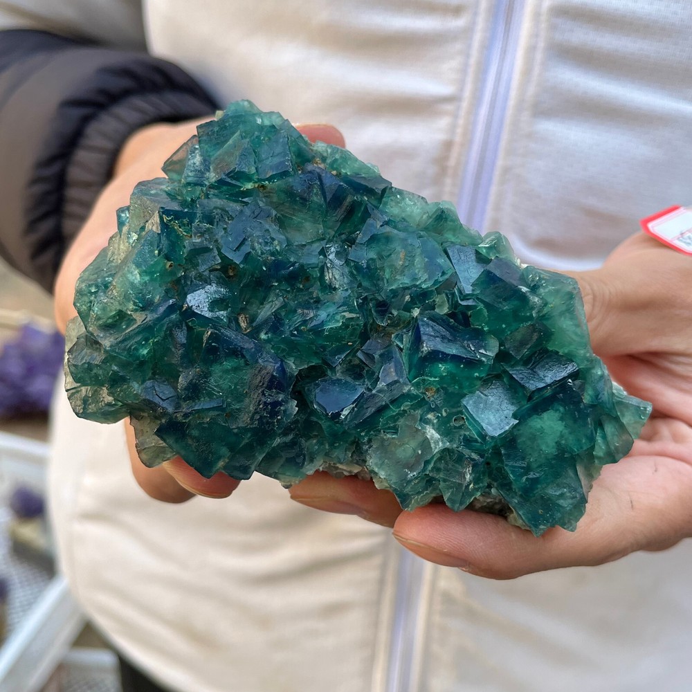 415G Natural Green Fluorite Cube Quartz Crystal Cluster Mineral Specimen
