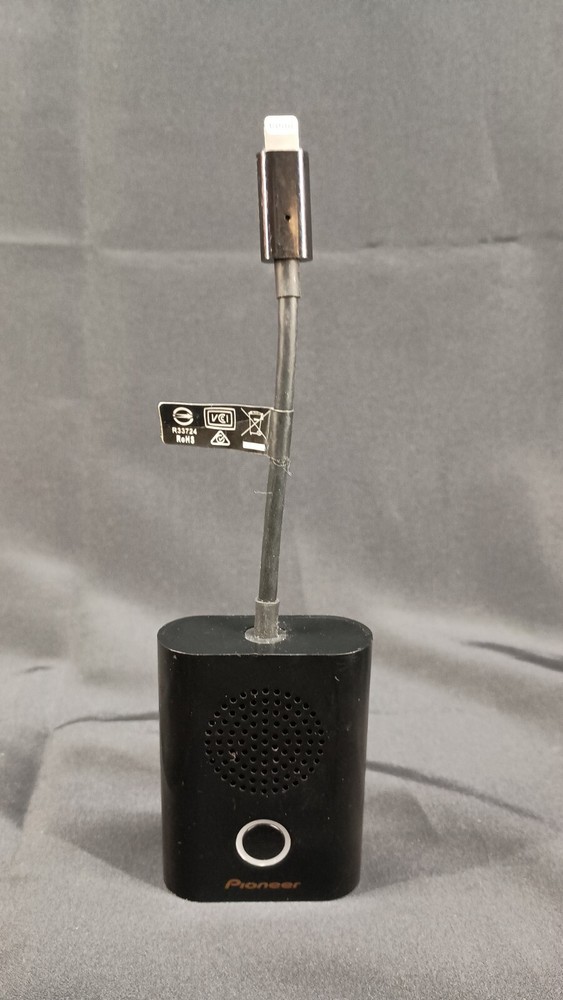 Pioneer Rayz Rally Portable Lightning-Powered Conference Speaker RAYZ XW-LTS5