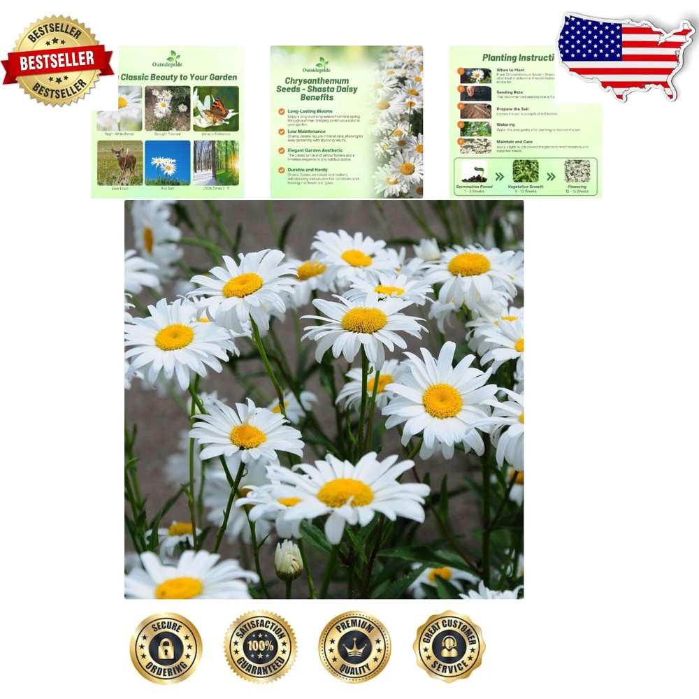 Shasta Daisy Wildflower Seeds - 1 lb Perennial Mix for Vibrant Butterfly Gardens