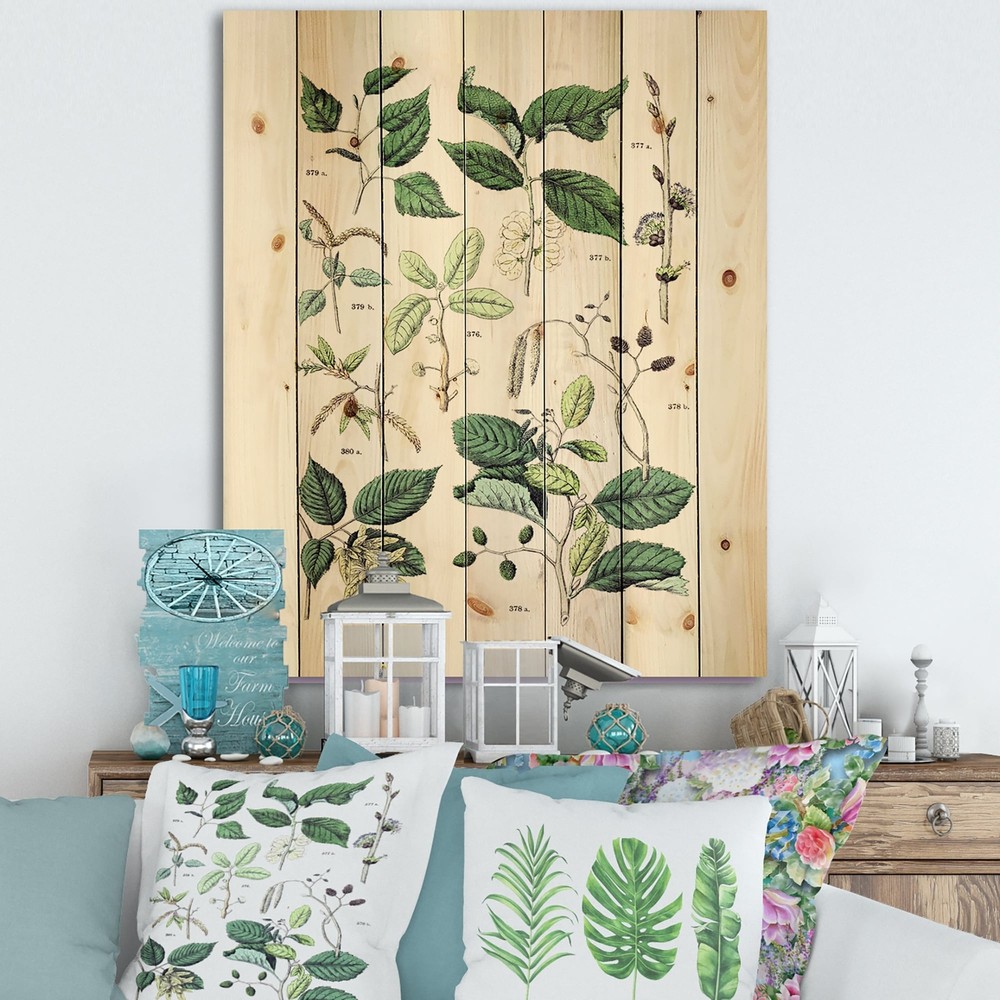 Designart 'Vintage Botanicals VIII' Traditional Print on