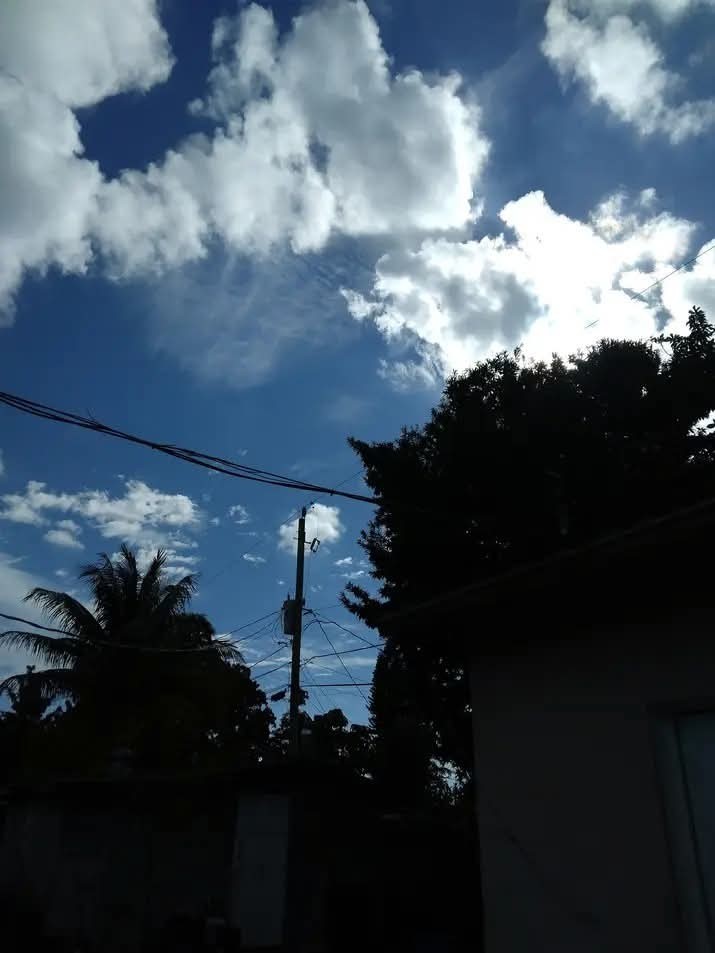 Professional Photography Services for Stunning Visuals