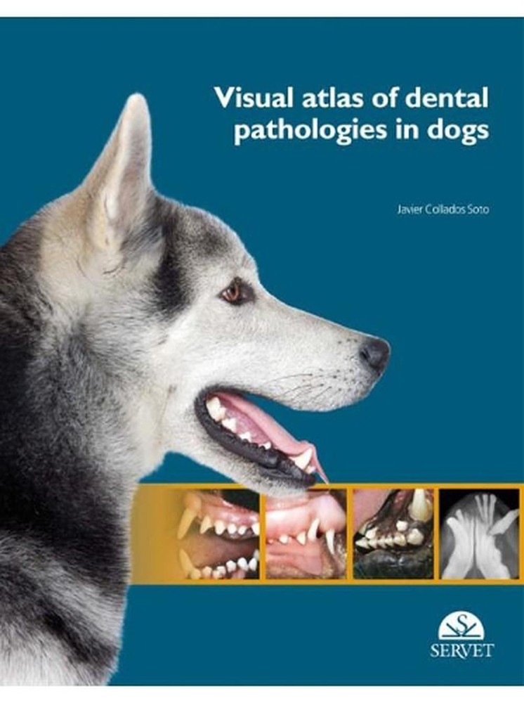 Visual Atlas of Canine Dental Pathologies by Javier Collados Soto Hardcover-image
