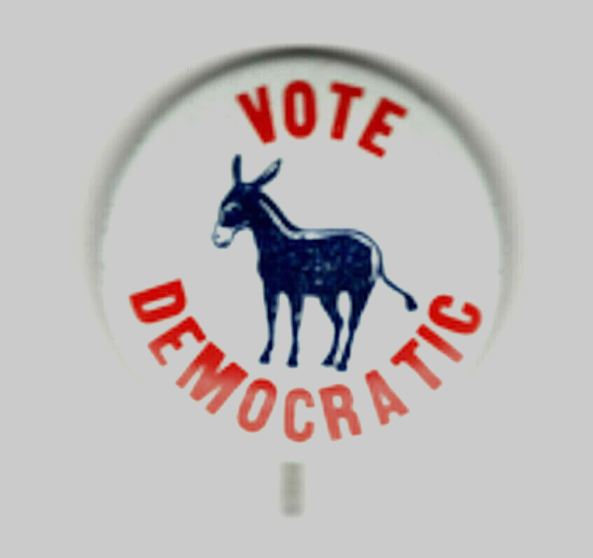 Vote Pin Vote Democratic Pin