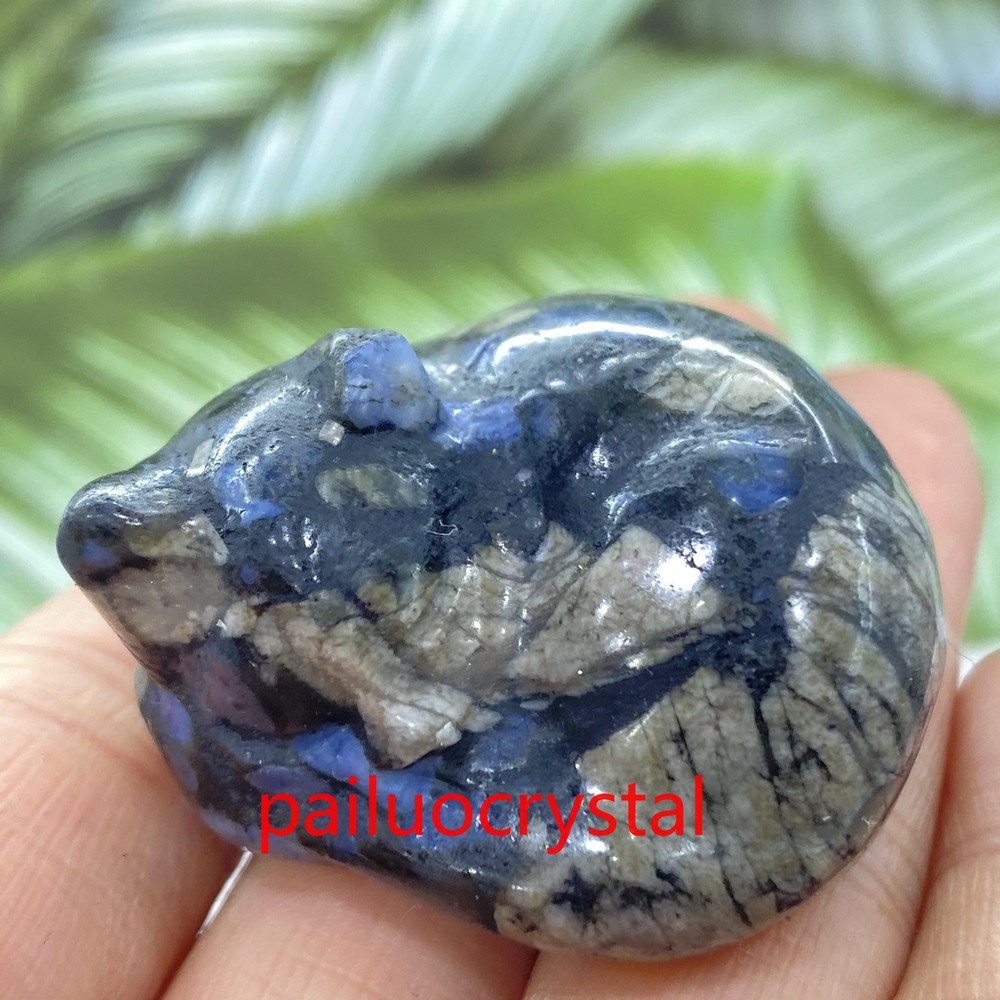 1pc Natural Rhyolite Cat Skull Quartz Crystal Skull Carved Figurines Reiki 1.5