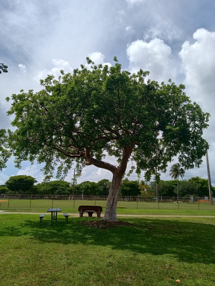 Stunning Landscape Photography Tips and Inspiration  