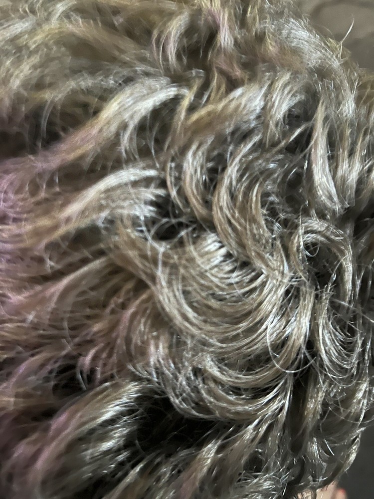 Paula Young Sensational P Synthetic Wig for Women