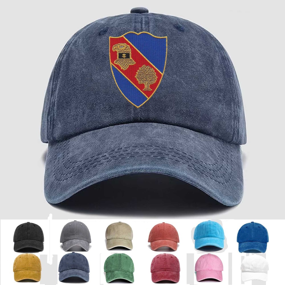 Custom Embroidered Hat 354th Infantry Regiment, Veteran Cap, Trucker Hat, Gift