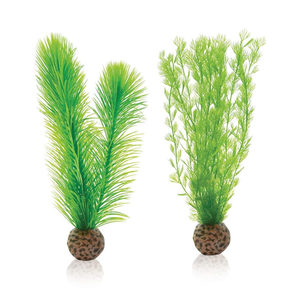 Feather Fern Set Small Green Aquarium Plants 46083