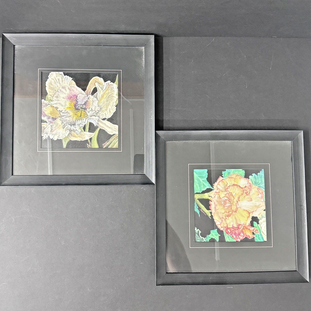Original Watercolor Paintings Flowers by SOWA Framed 13.5