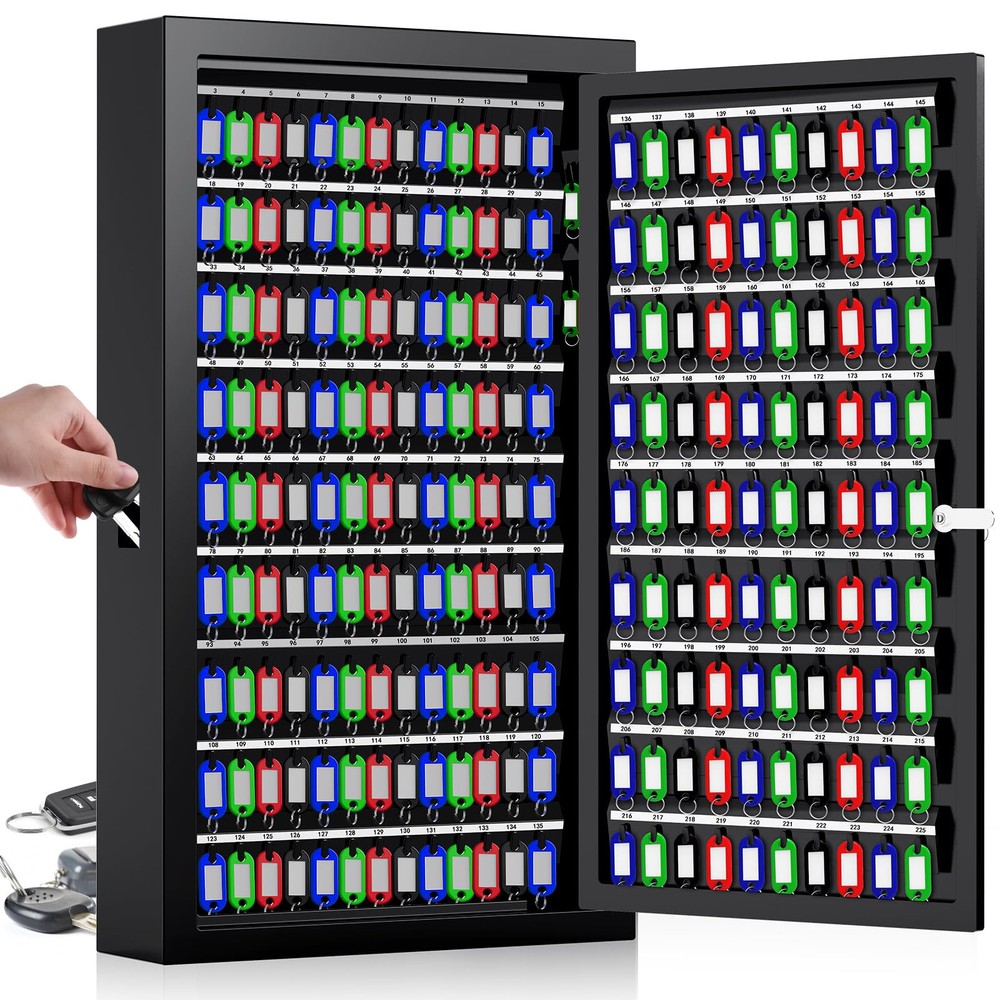 225 Keys Key Lock Box Wall Mount with Additional 16 Side Hooks and Key Tags, ...