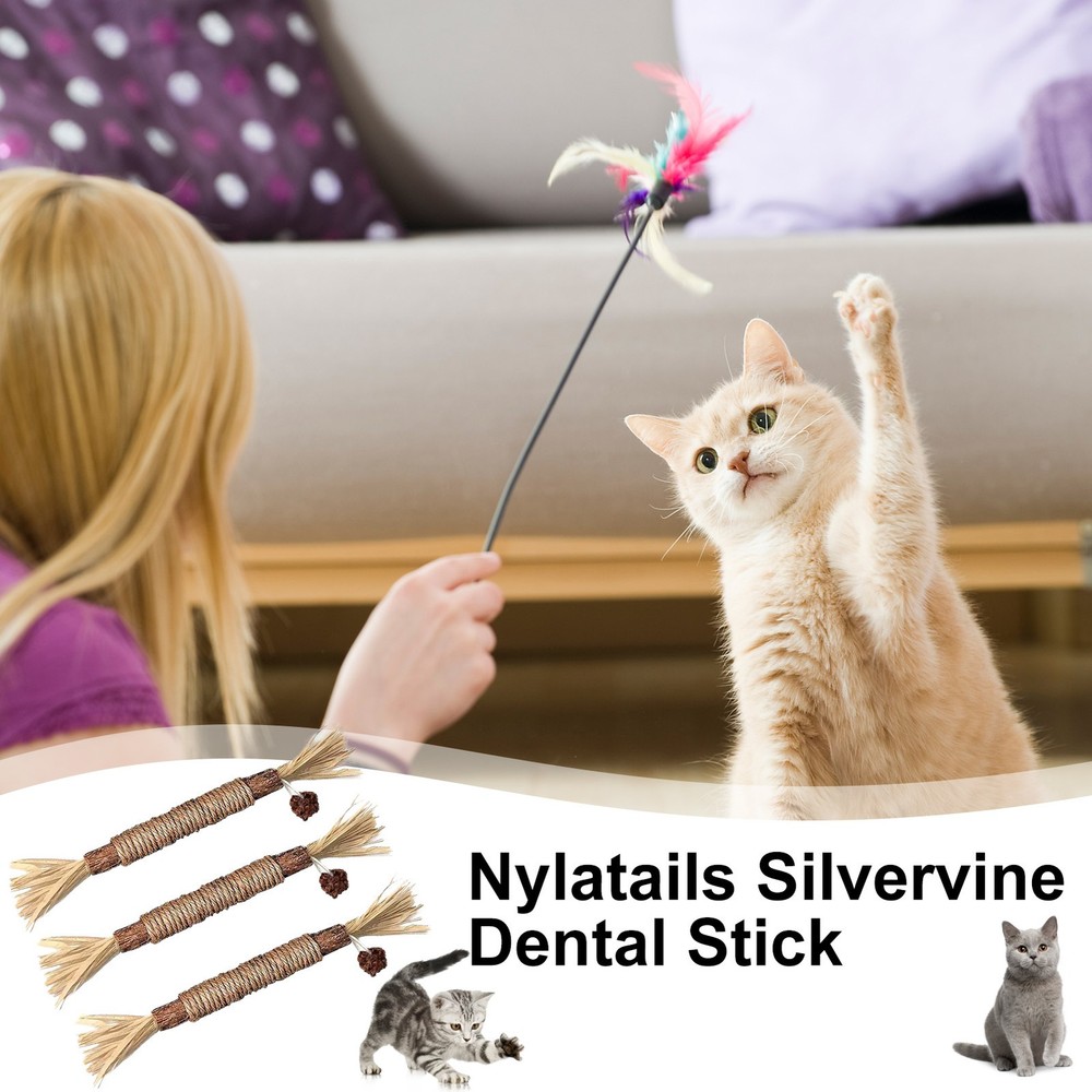 3pcs Silvervine Sticks for Cats - Natural Dental Chew Toy with Matatabi Catnip