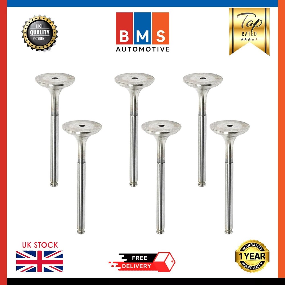 Citroen Peugeot Partner Tepee 2.0L petrol exhaust valve by Freccia brand new