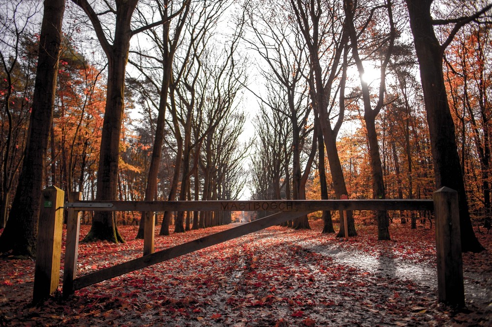 Digital photo prints