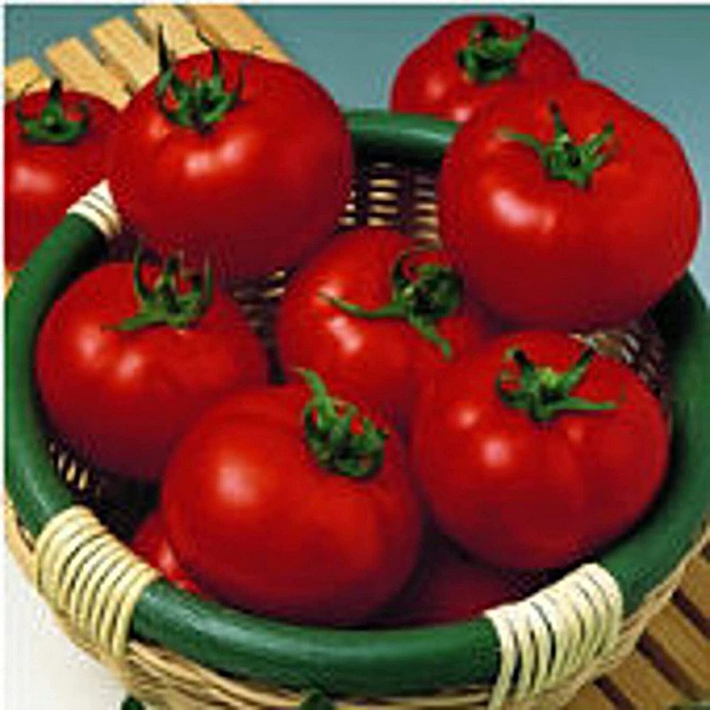 25 Seeds Margo Tomato Seeds (More Heirloom Organic Non GMO Vegetable Fruit Herb