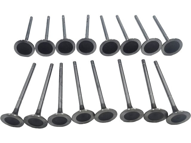 1996-1997 Dodge Grand Caravan Intake Exhaust Valve Kit 64836KVTF