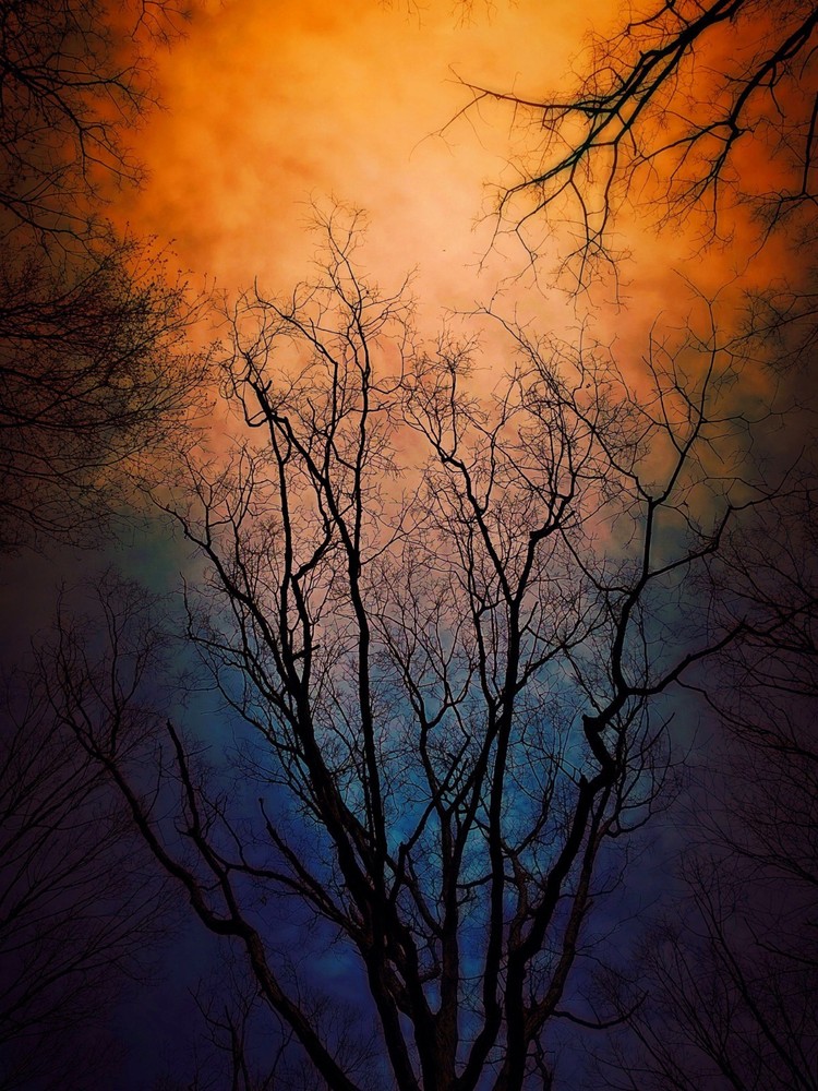 High-Resolution Nature Wallpaper Download - Trees, Sky & Scenic Landscape-image