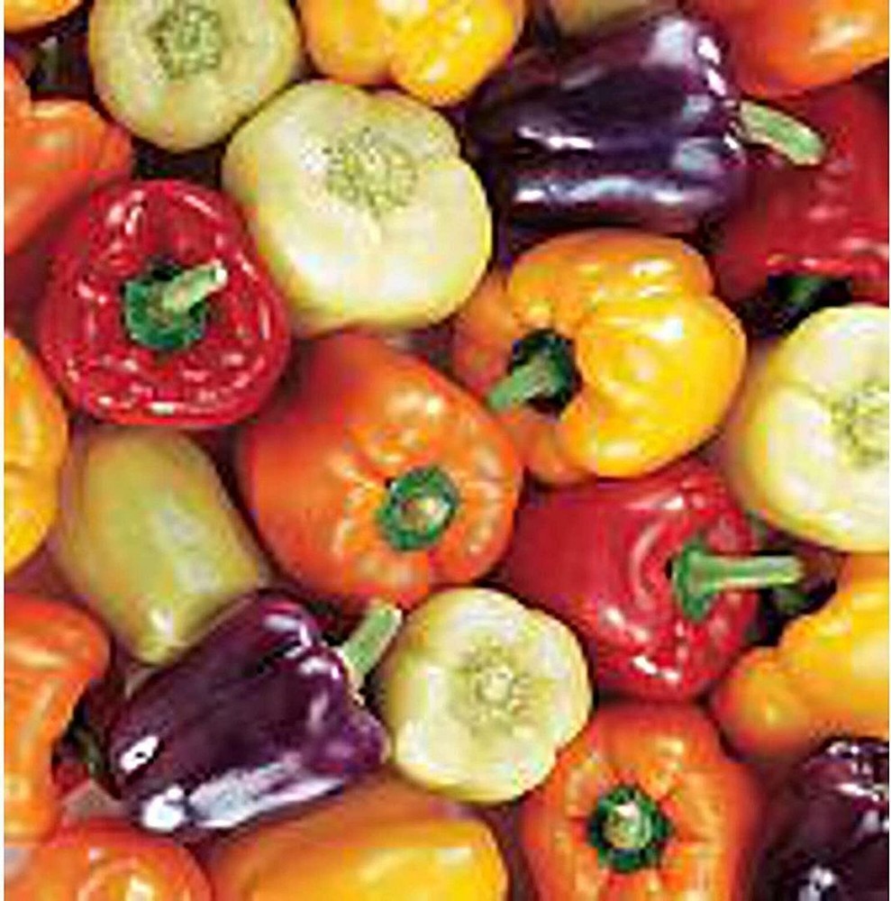 25 Seeds European Mix Sweet Peppers Seeds (More Heirloom Organic Non GMO Vegetab