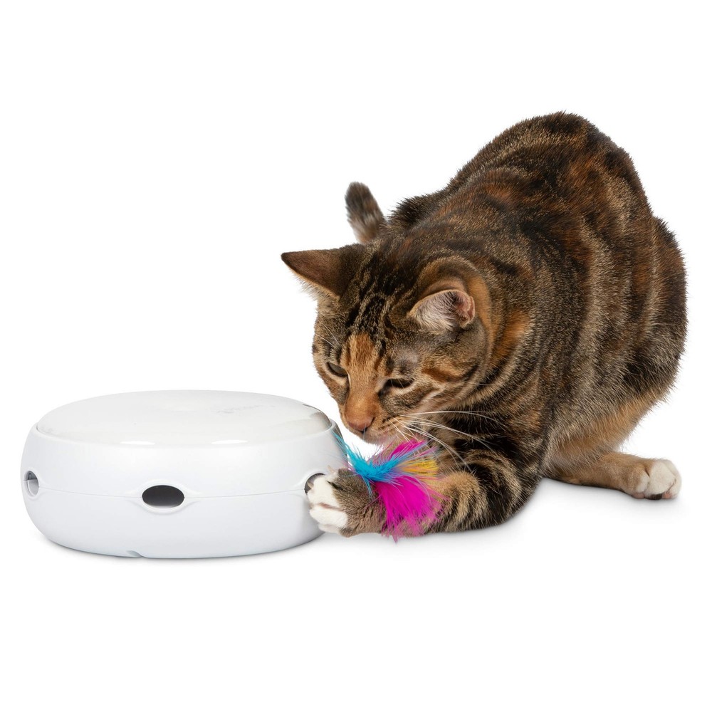 Ambush Interactive Cat Toys for Indoor/Outdoor Activity - New & Improved Cat ...