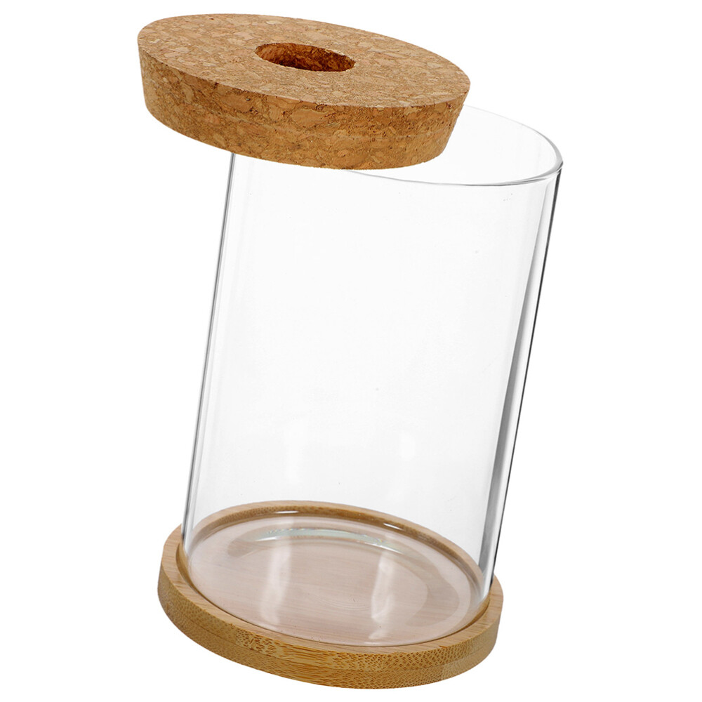 1 Set Micro Landscape Ecological Bottle Plant Terrarium Holder Glass Bottle