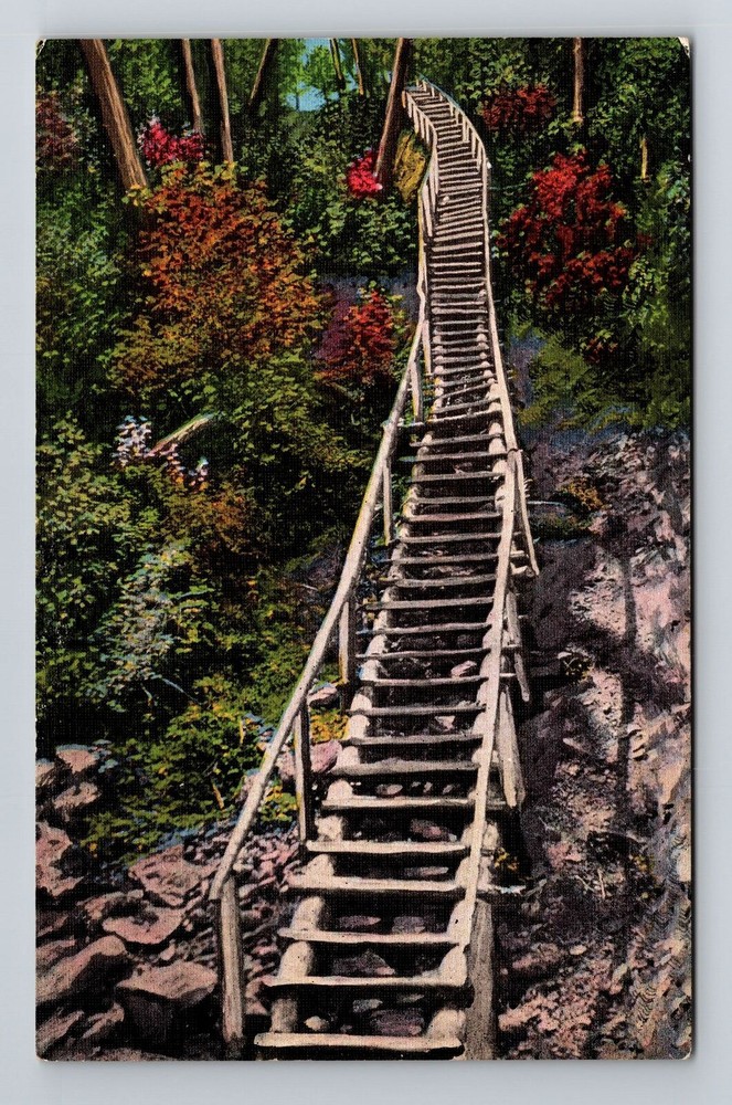 Alger County MI-Michigan, Log Ladder, Miners Falls, Miner River Vintage Postcard