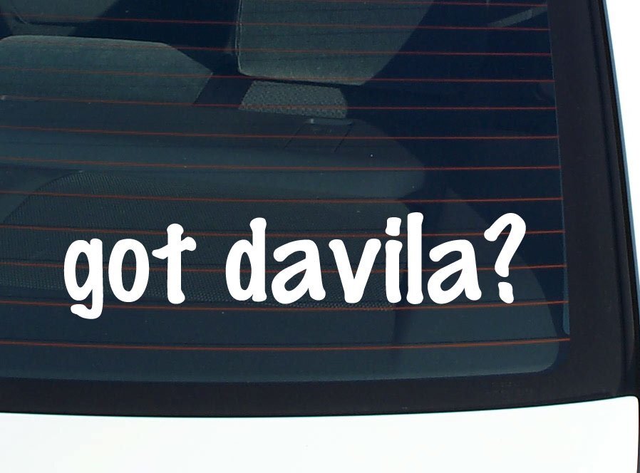 got davila? CAR DECAL BUMPER STICKER VINYL FUNNY LAST NAME WINDOW PRIDE