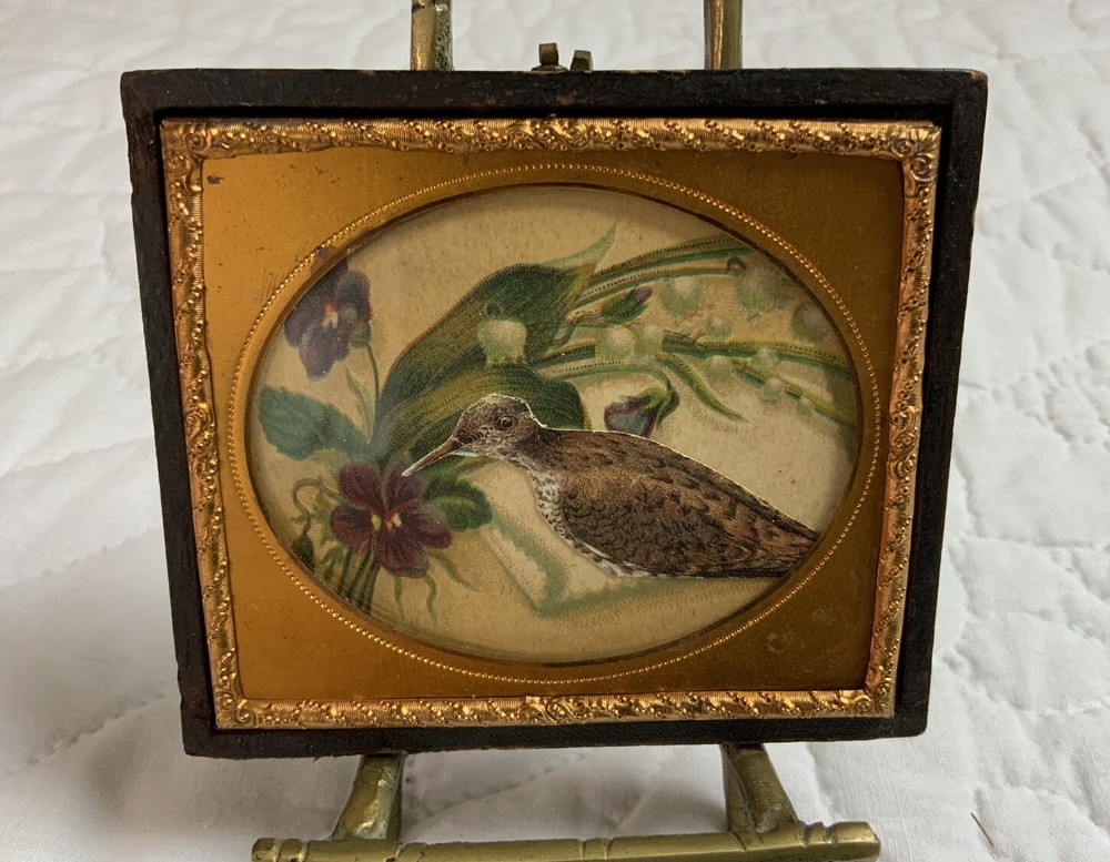 Antique Victorian Trade Card Ephemera Framed, Half Union Case, Flowers, Bird