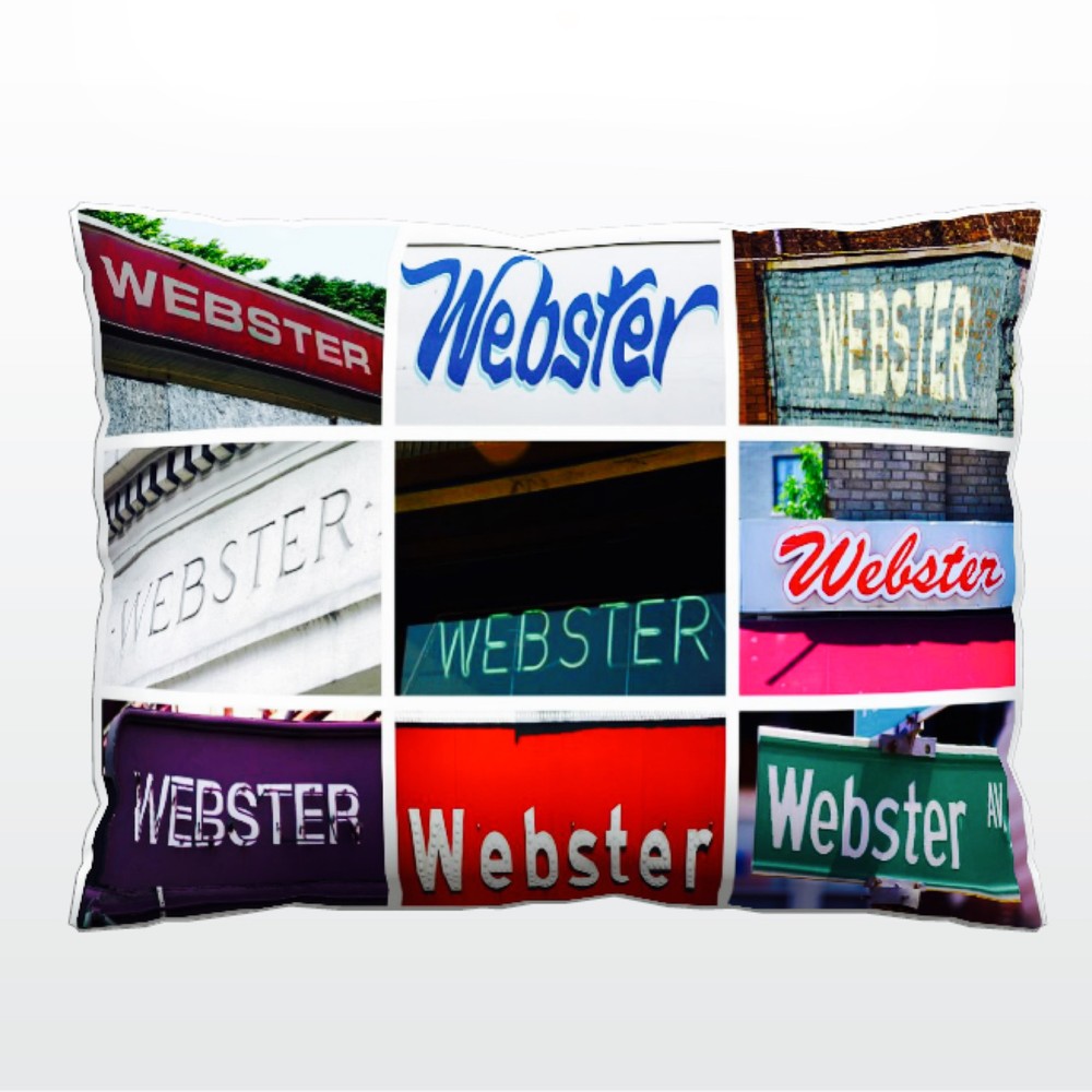 Personalized Pillow featuring the name WEBSTER in photos of actual signs