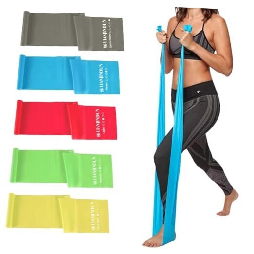 5 Professional Latex-Free Resistance Bands in 5 Colors for Strength Training