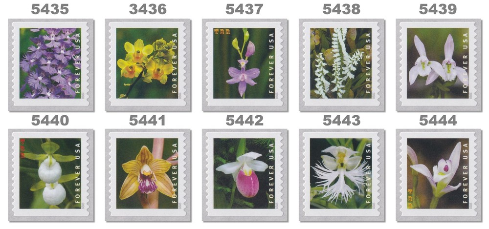 5435-44 5444 Wild Orchids Forever Set of 10 Coil Singles 2020 MNH - Buy Now-image