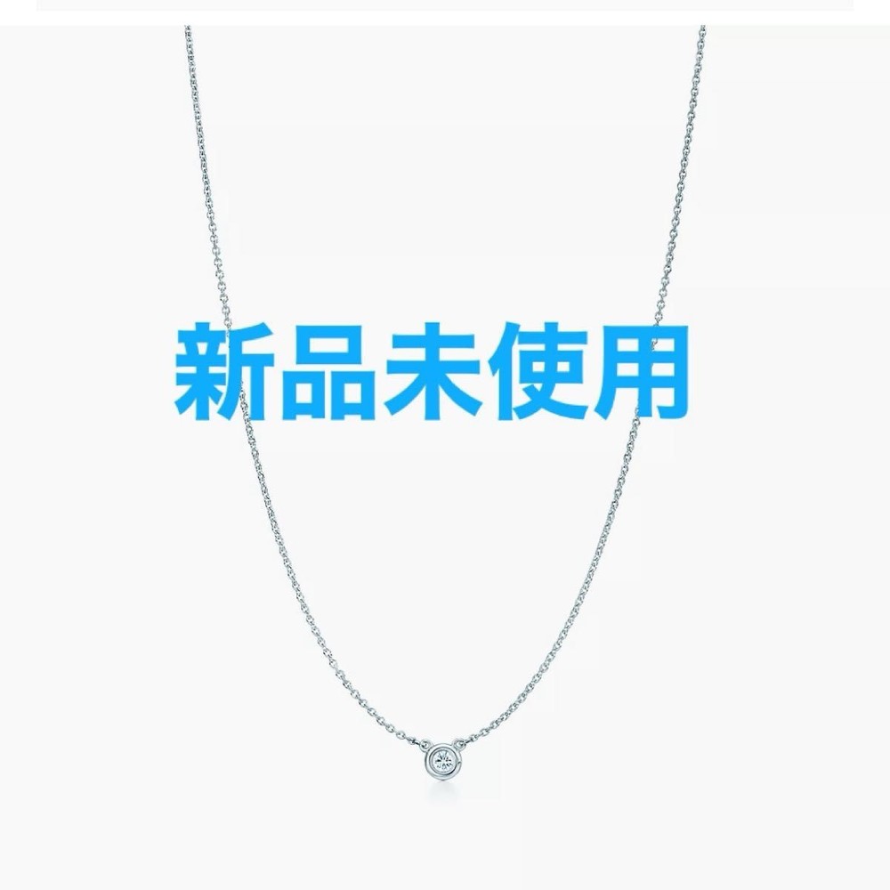 Tiffany & Co Silver 0.03ct Diamond By the Yard Pendant Necklace TIF