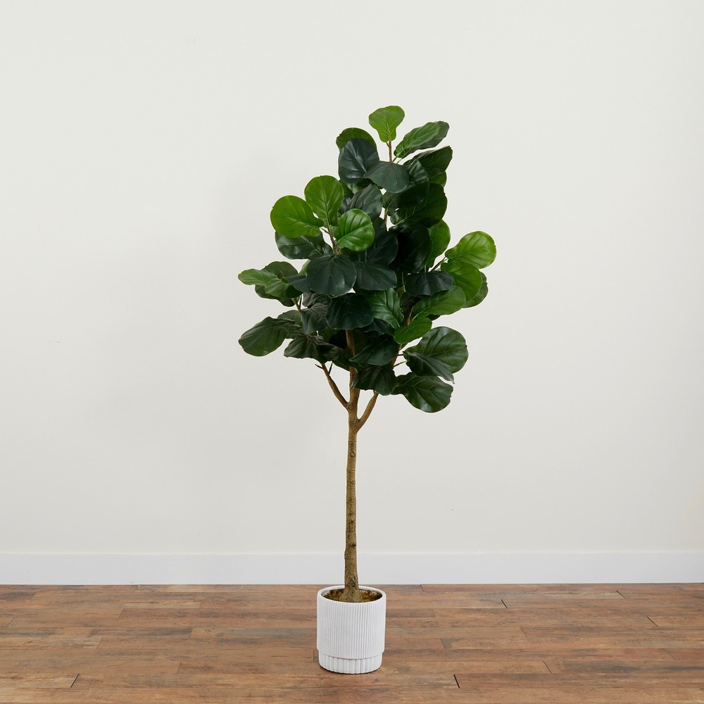 6ft Tall Artificial Fiddle Leaf Fig Tree in White Decorative Pot