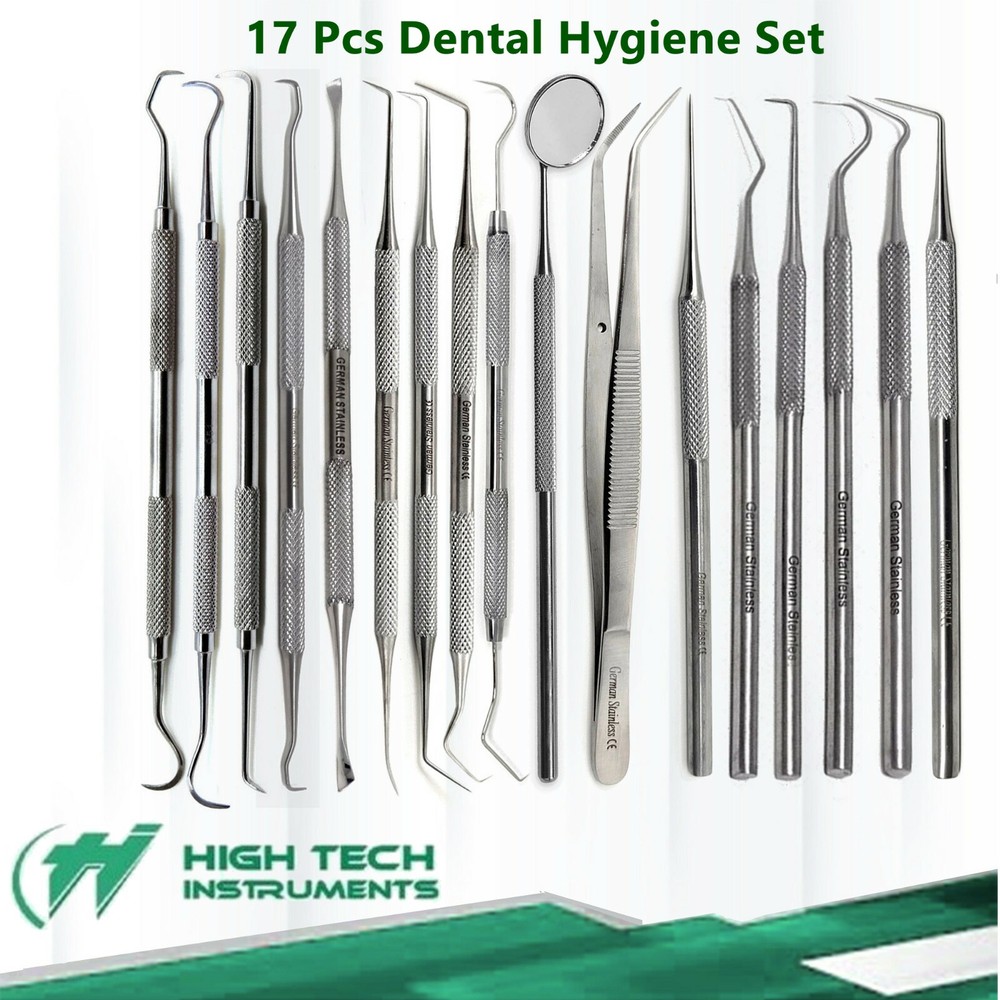 17 Pcs Set Dental Pick & Mirror Tool Sculpture Instrument Oral Kit Tooth Teeth