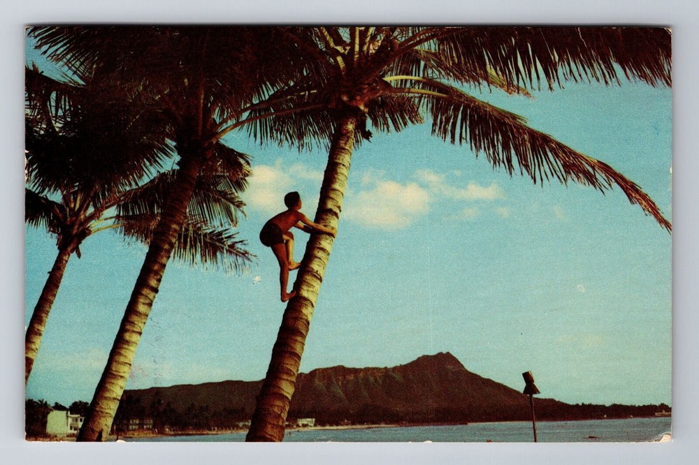 Waikiki Beach HI-Hawaii, Island Boy, Coconut Tree Vintage c1954 Postcard