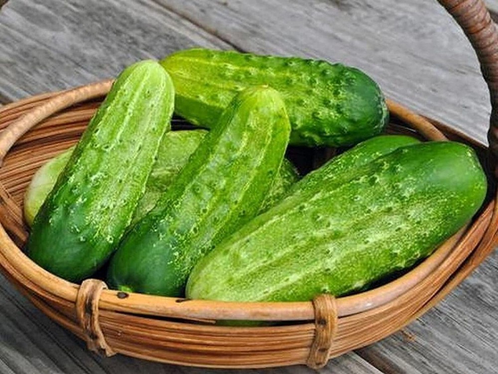 25 Seeds Chicago Pickling Cucumber Seeds (More Heirloom Organic Non GMO Vegetabl